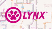 LYNX Bus, Bus 234-616 deadheading to Disney Springs to begi…